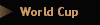 World Cup