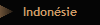 Indonsie